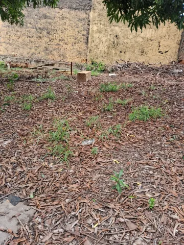 imagem 4 - Terreno à venda no bairro Vila Pires em Santa Bárbara d`Oeste/SP imagem 4 - Terreno à venda no bairro Vila Pires em Santa Bárbara d`Oeste/SP